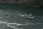 DSC_5087.JPG