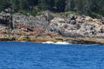 DSC_0011.JPG