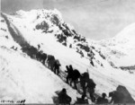 Chilkoot 