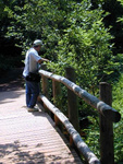 The bridge-is that Gilbert?