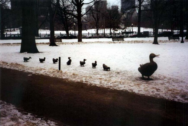 Statues of Mrs. Mallard and the ducklings on Boston Common from Make Way for Ducklings