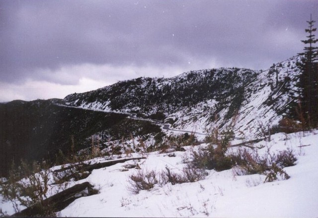 Mt. St. Helens batch 2